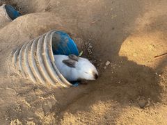 -前小桔亲子创意农场·草莓采摘·露营烧烤