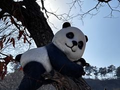 -京北渔家傲