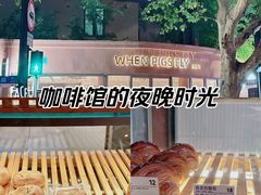 -WHEN PIGS FLY当猪飞