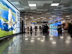 -郑州新郑国际机场-T2航站楼