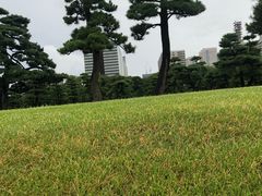 -优衣库(银座店)