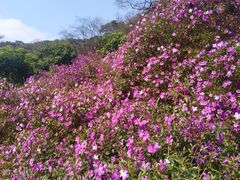 -广州市石门国家森林公园