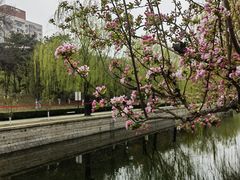 -元大都城垣遗址公园