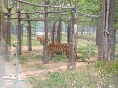 -秦皇岛野生动物园