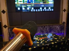 -新星KTV(友谊国际大厦店)