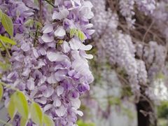 -南京工程学院(江宁校区)