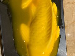 斗鱼-斗鸡饭场伙(新南门店)