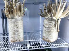 -天毓山庄·餐厅