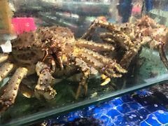 -三亚新鸿港水果一级批发市场
