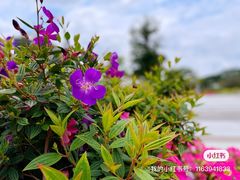 -新华书店(市民中心店)