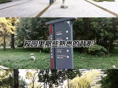 -木塔寺遗址生态公园