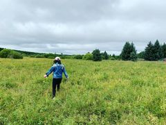 -塞罕坝国家级自然保护区