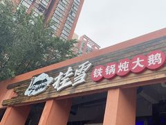 -挂雪铁锅炖大鹅