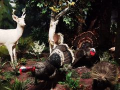 -陕西自然博物馆