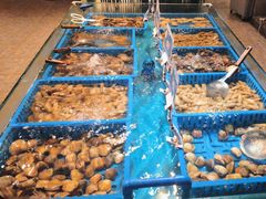 -御品海宴海鲜自助餐厅(龙岗万科广场店)