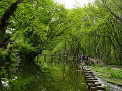 -西溪南古村落