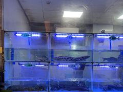-忘情水鱼头·鲜鱼火锅(滨江中路店)