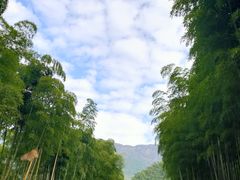 -众神白水涧景区