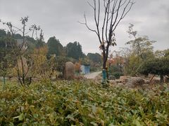 -泰山风景名胜区-虎山公园