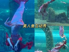 -波塞冬旅游度假区