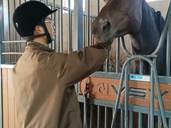 -北京群众马术培训基地