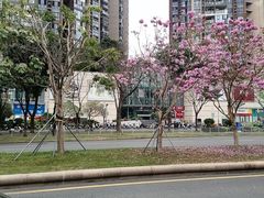 -深圳龙华星河COCO City(民治店)