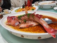 -金苑喜宴