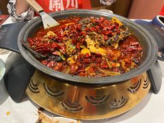 -锦尚阁烤鱼(望京新荟城店)