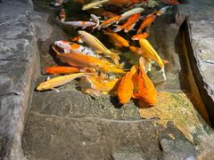 -海合安青岛极地海洋公园