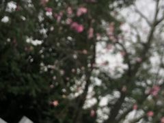 -梵天禅寺