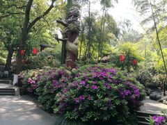 -杭州黄龙洞