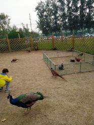 -萌宠亲子动物乐园(槐房万达店)