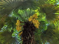 -同里国家湿地公园