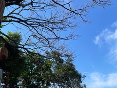 -美人鱼悬崖海景餐厅(鹿嘴山庄店)
