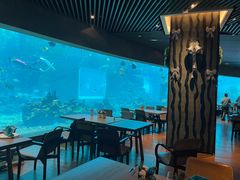 -海棠湾洲际-涛·海底餐厅·美人鱼·自助餐·海底隧道