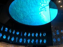 -贝林大翅鲸简餐厅(国家海洋博物馆店)