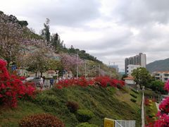 -小南山公园