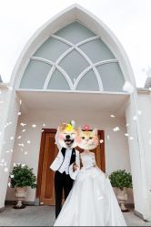 点击看大图 -金夫人婚纱摄影(华南店)