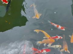 -西江印象酒楼