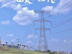 -紫颐香薰山谷景区