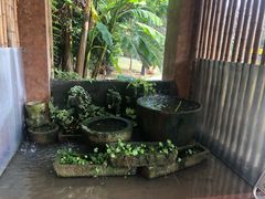 -金稼园·金平湖农家菜