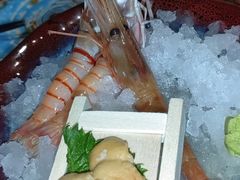 -左舞日本料理