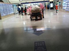 -上海市东方医院(总院)