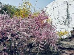 -石家庄市植物园