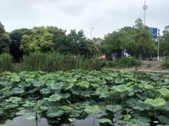 -美兰湖景区