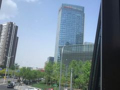 -313羊庄铁锅烀羊肉(望京店)