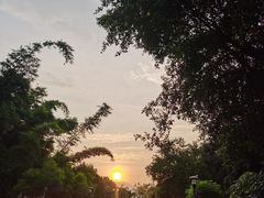 -福建鲤鱼洲酒店