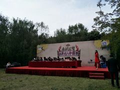 -溱湖国家湿地公园