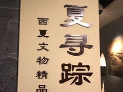 -宁夏博物馆
