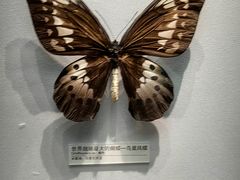 -天津自然博物馆